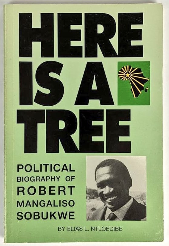 Wonder Peters tweet media