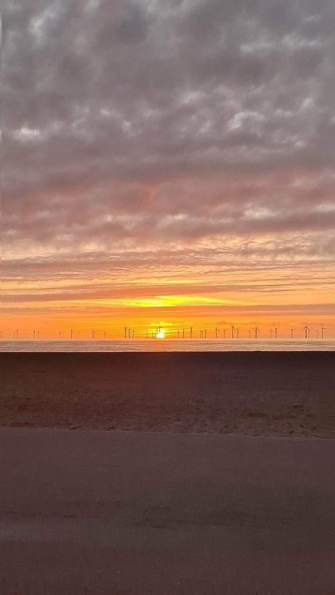 Dan Norton tweet media