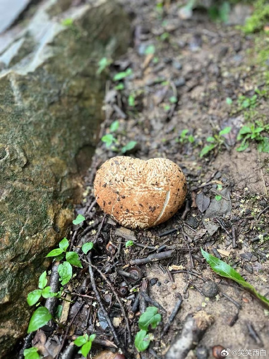 Katie Brophy tweet media