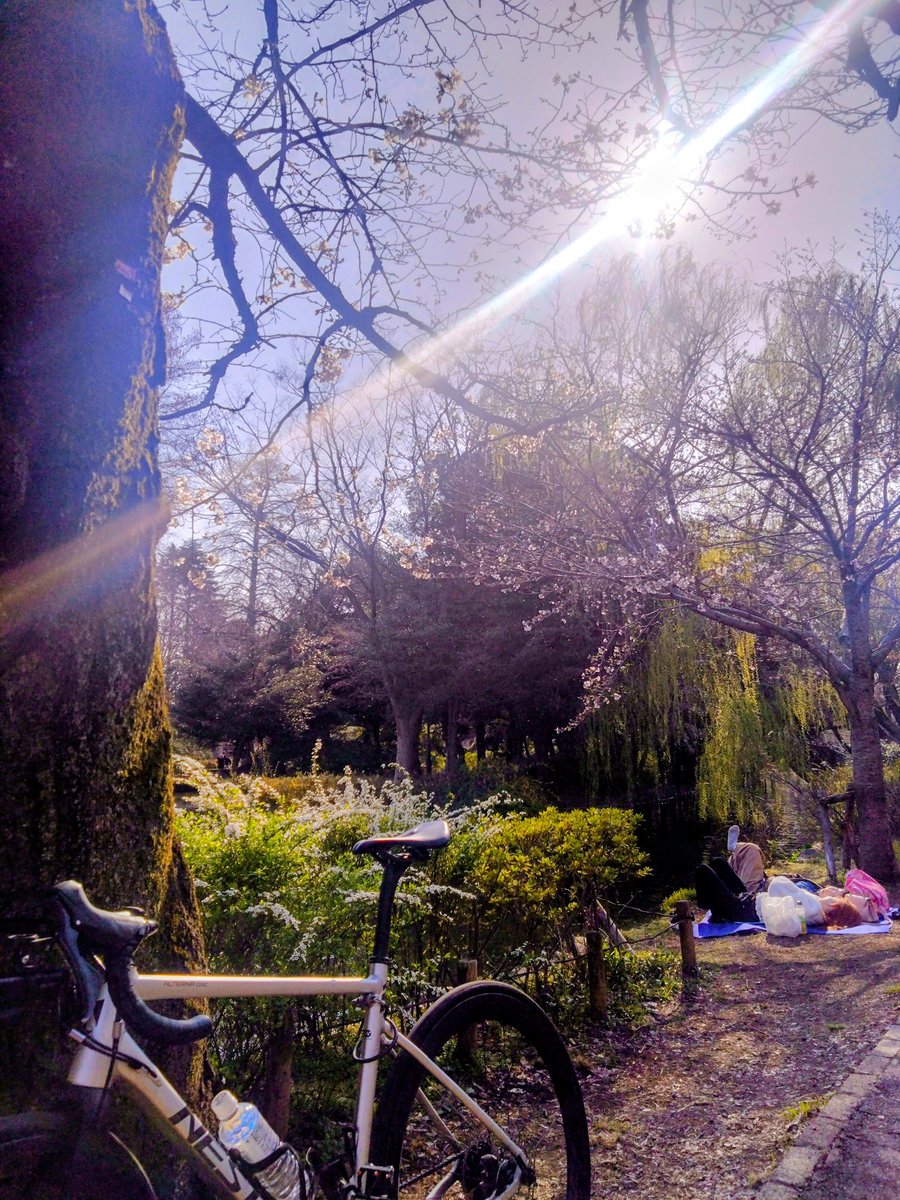 ゲーム屋秀 tweet media