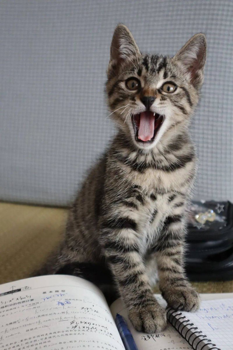 Kristofers Bilinskis tweet media