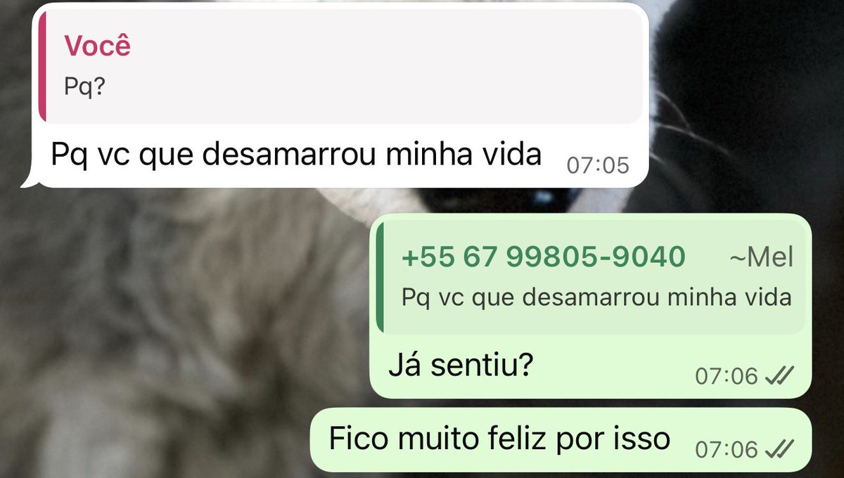 Diego - medvest tweet media