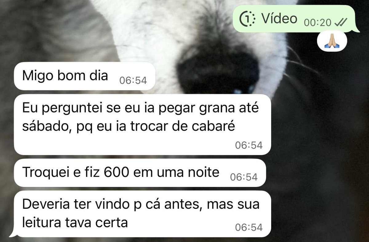 Diego - medvest tweet media