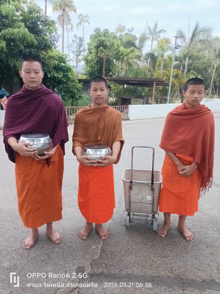 💫 ❦ 🄳🄸🅅🅈🄰 ❦💫 tweet media