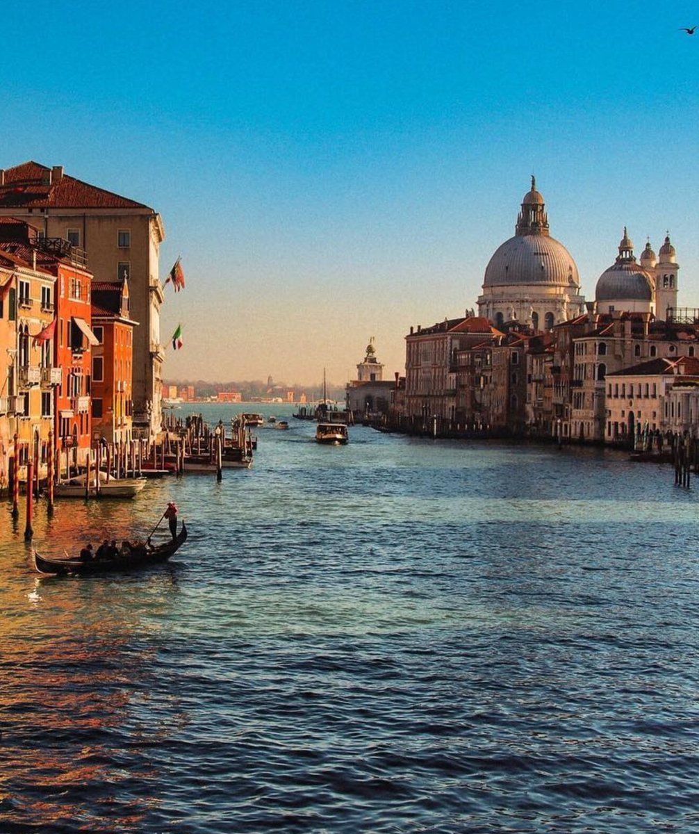 Monica 🍀⚘️🌍📚🐞🎧 tweet media