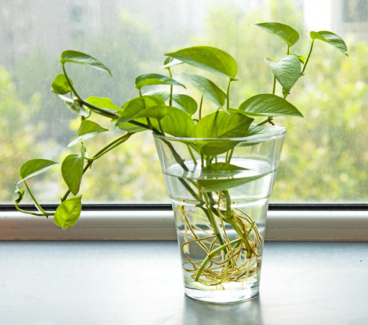 Vivek Mordekar tweet media