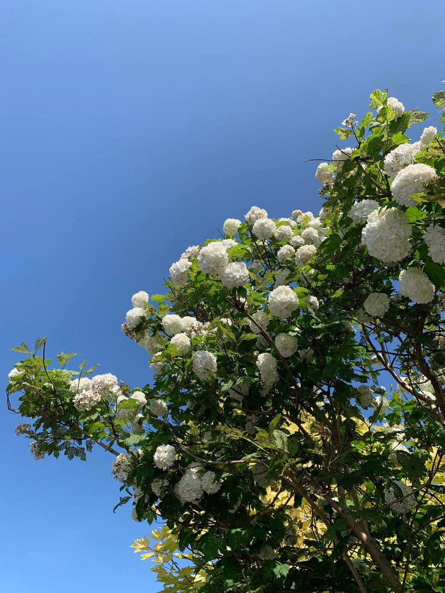 Jenny ☕️ tweet media