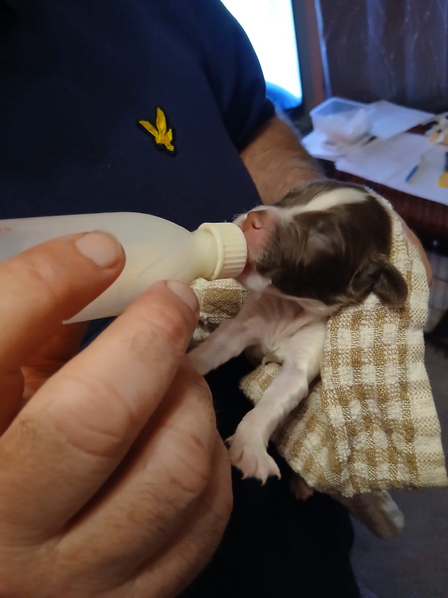 William John Amison tweet media