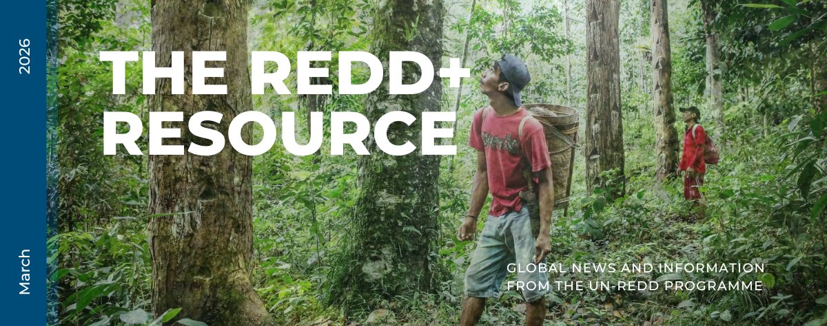 UN-REDD Programme tweet media