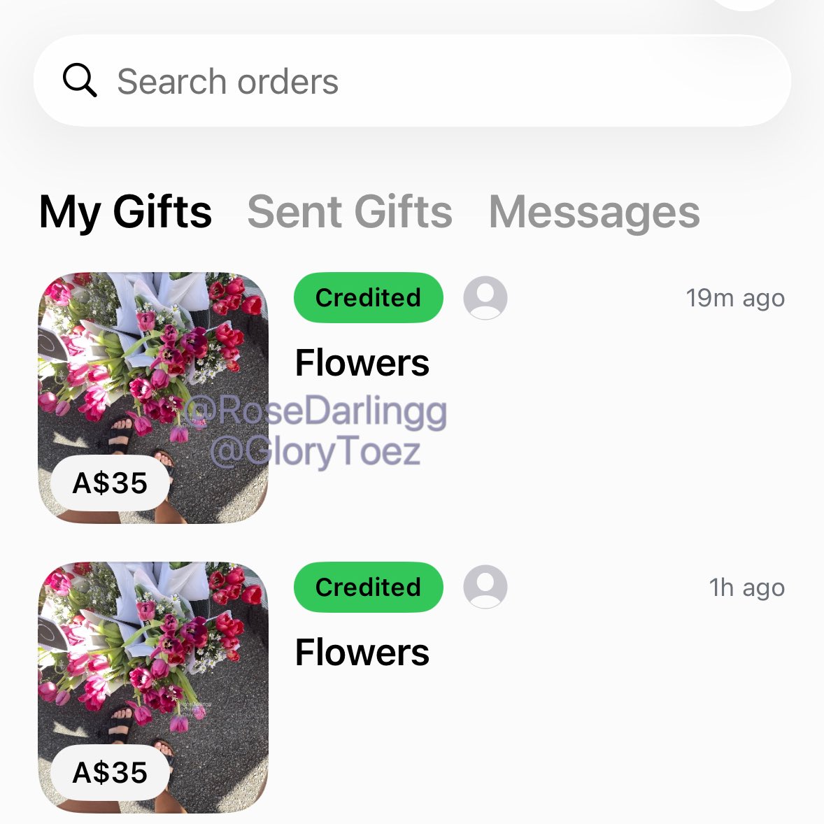 Princess Rose Aus🌹 tweet media