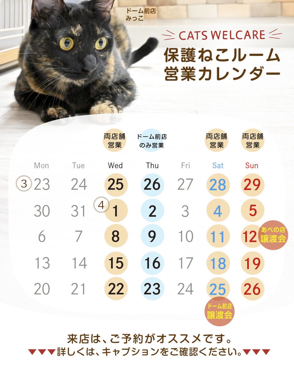 CWelcare's tweet photo. 🐾4月営業カレンダー公開🐾

📅譲渡会
・4/12 あべの店
・4/25 ドーム前店

ご来店は事前予約がおすすめです🐱

猫たちは新しい家族との出会いを待っています🐈

#CatsWelcare
#保護猫
#譲渡会 https://t.co/SzcIhw2hKu
