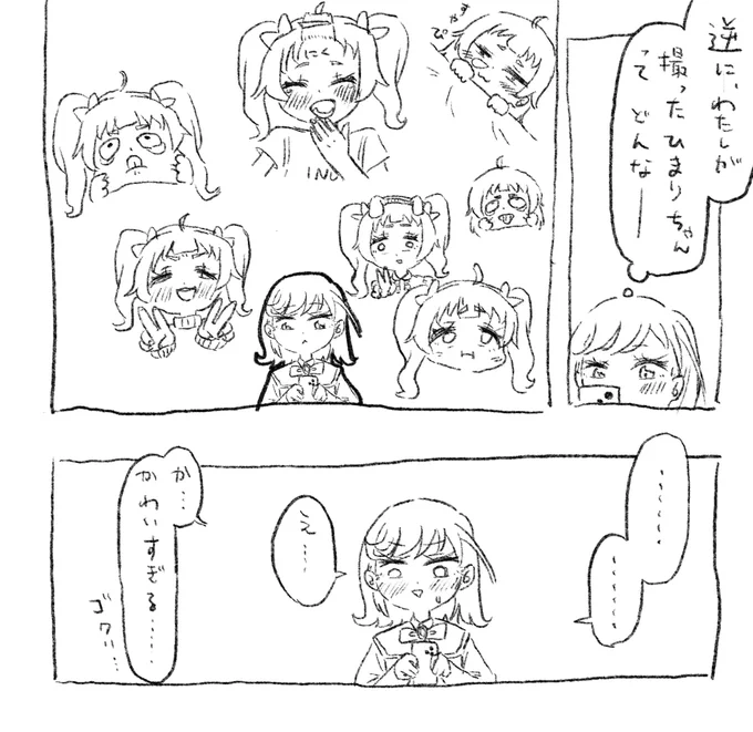 自分のカメラロールを省みるミーたんの話 