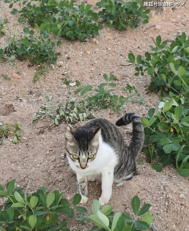 Alondra Gómez tweet media