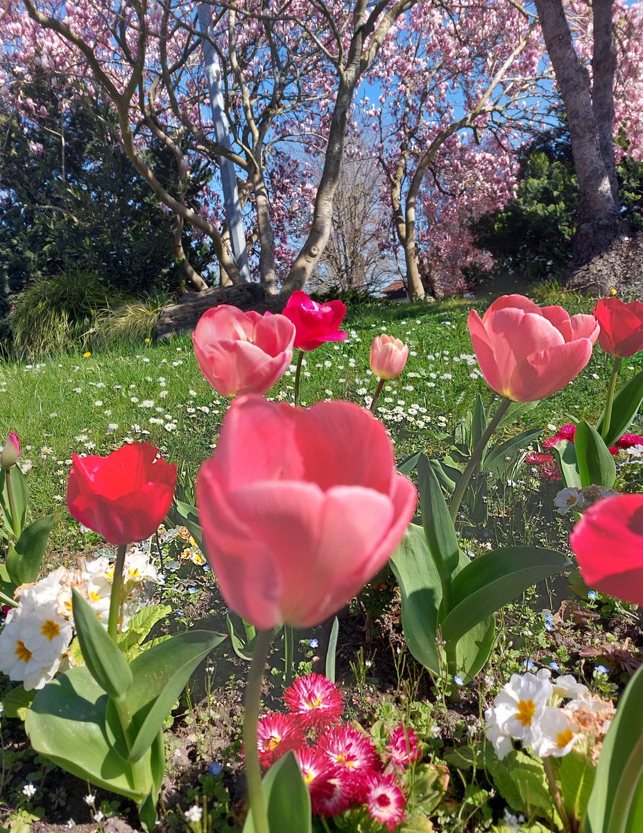 webcat ⚪🔬 tweet media