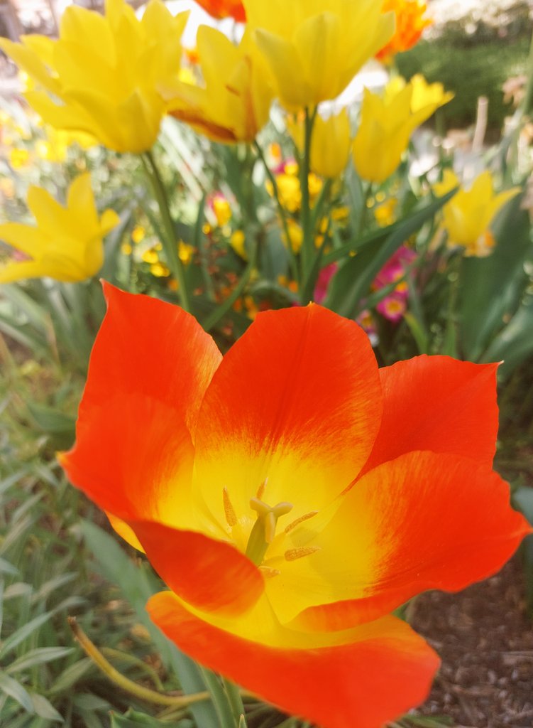 webcat ⚪🔬 tweet media