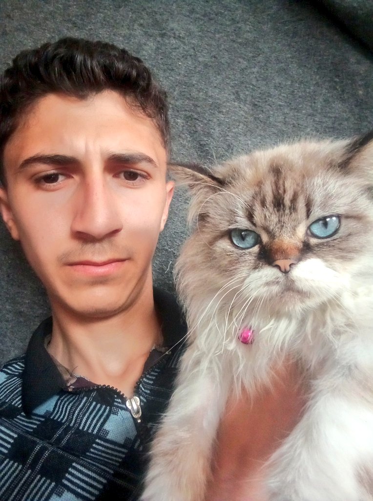 Ali From Gaza tweet media