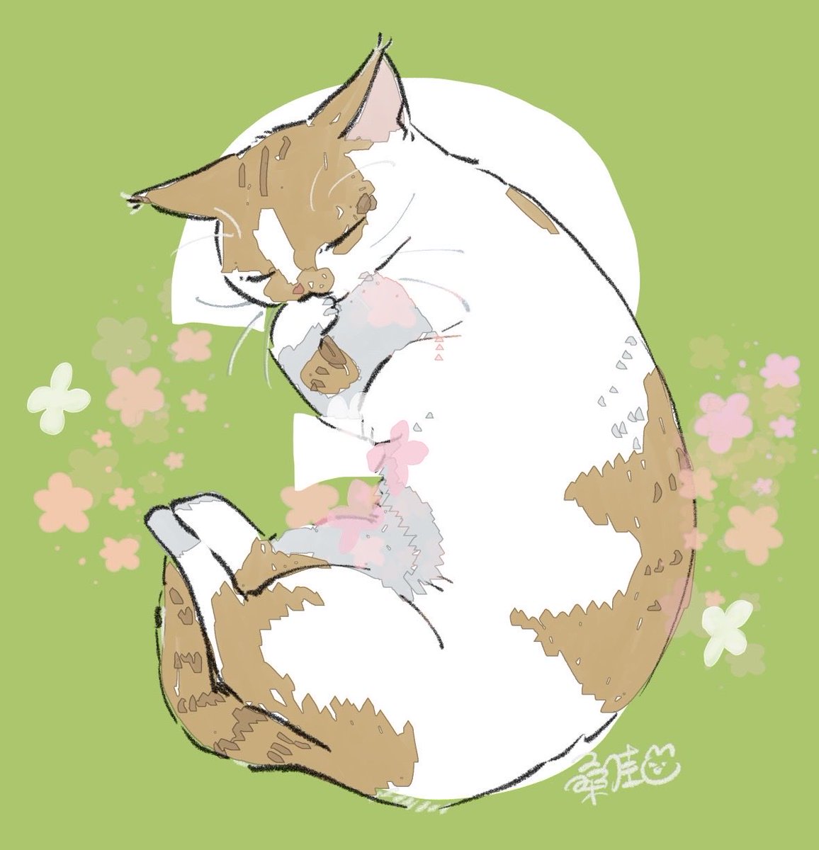 桑佳あさ tweet media