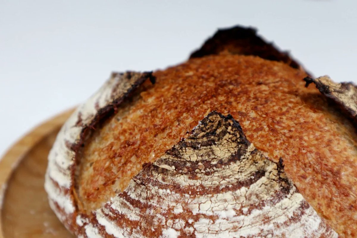 AlizaKh10723011's tweet image. Baked my first sourdough loaf! Crusty crust, chewy crumb—pure joy in every slice.  #HomeBaking #BreadLove