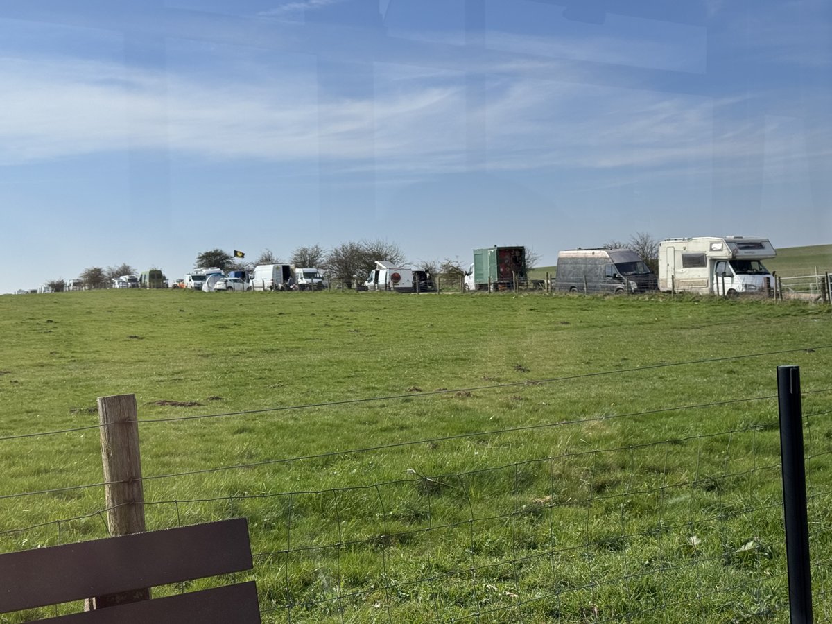 TORI MIKI/とり・みき tweet media