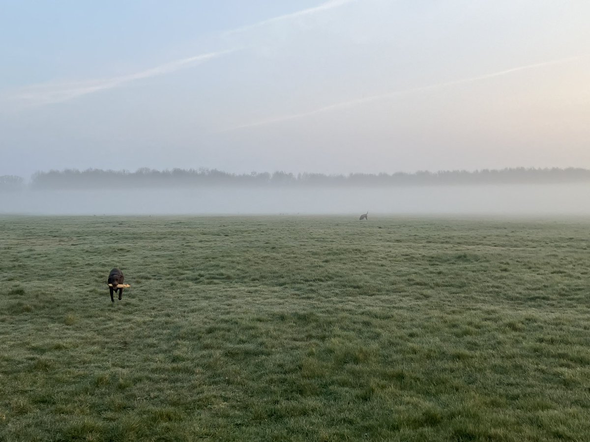 Anthony Goodwin tweet media