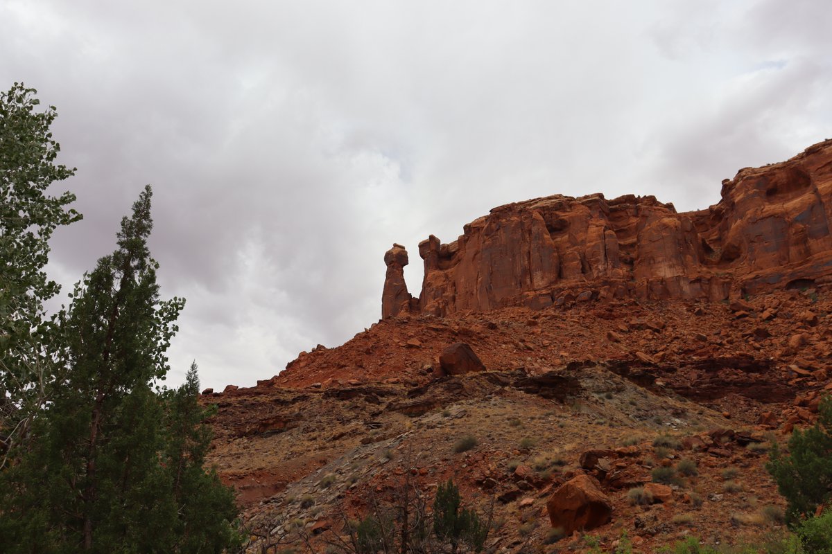 manuelacasasoli's tweet image. From my hikes...

Enchanting sandstone.

Utah - 2024

Have a good day!

#hiking #adventures #nature #NatureLovers