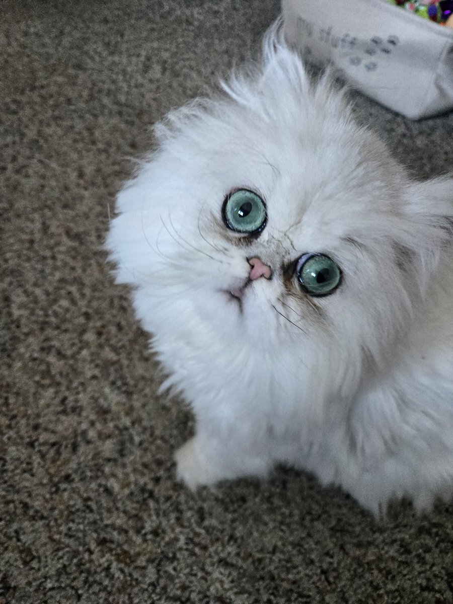 🌌 Rita Leader 🌌 tweet media