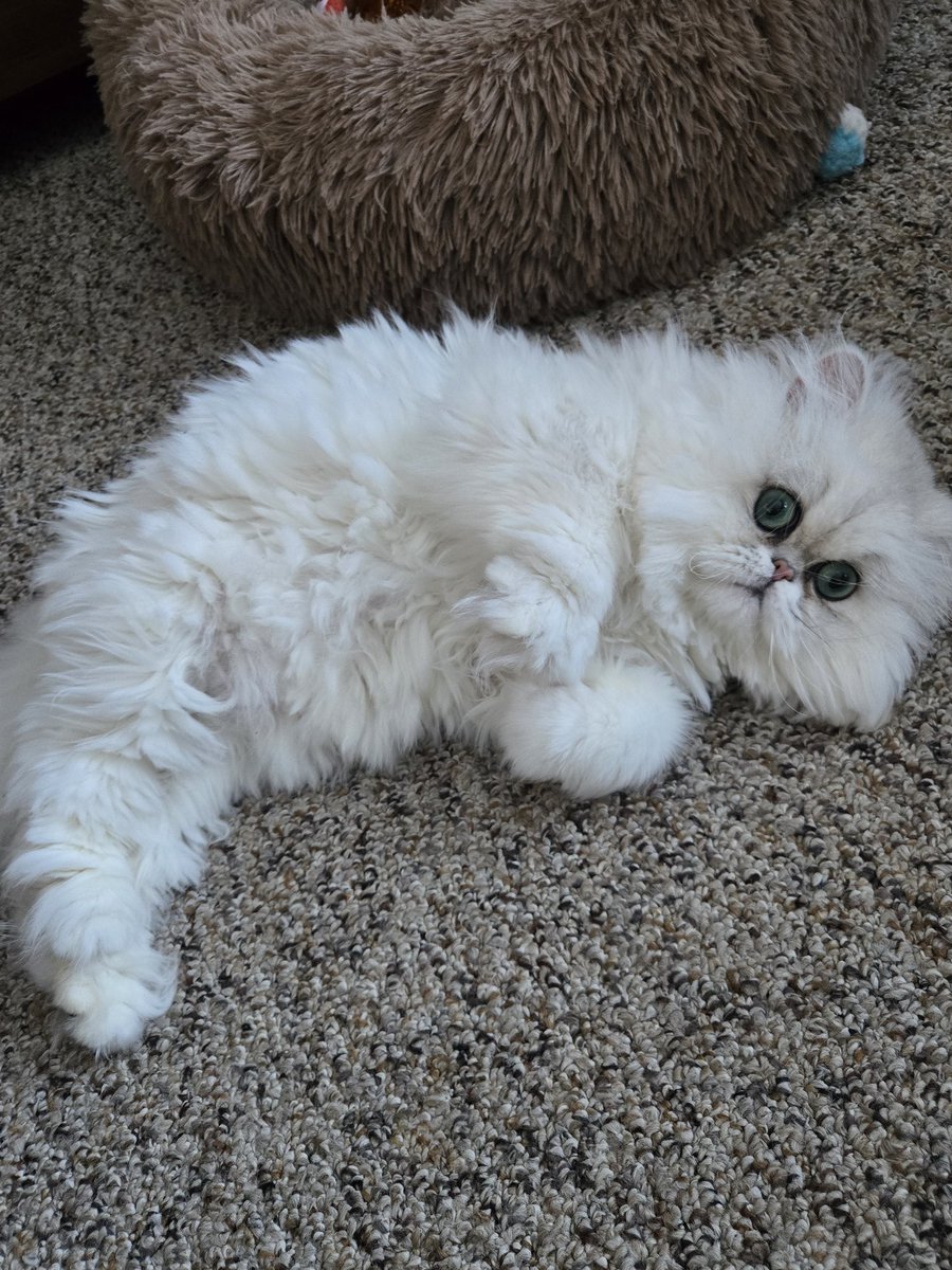 🌌 Rita Leader 🌌 tweet media