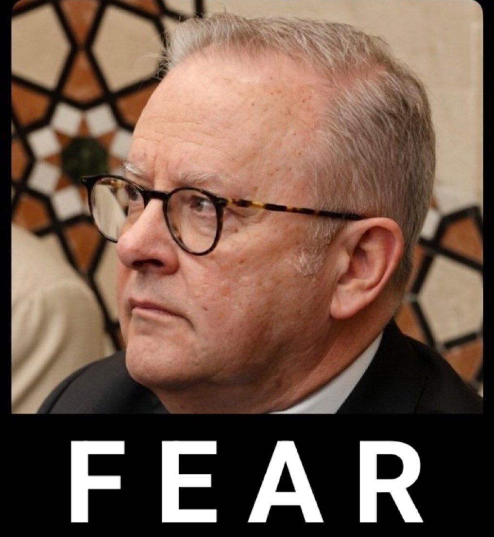 Grumpy Meat Pie tweet media