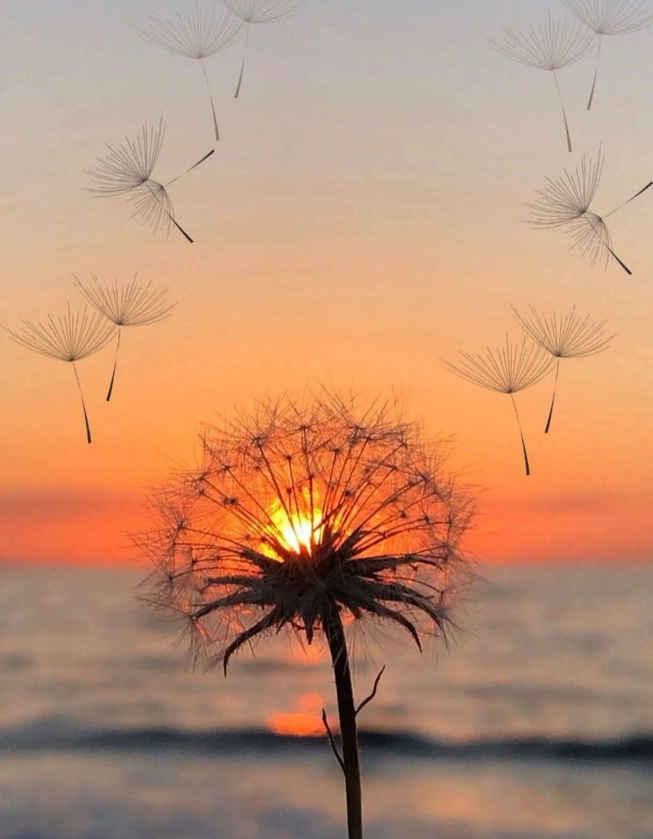 Sonia Álvaro tweet media