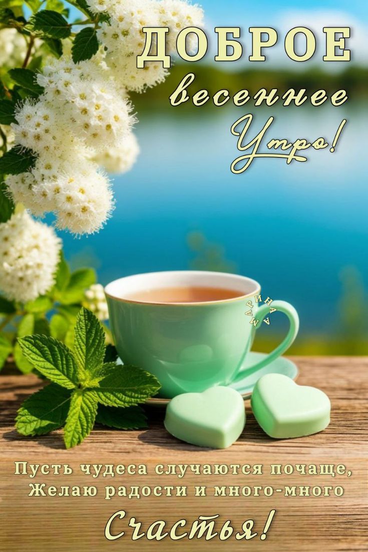 Valentina D tweet media