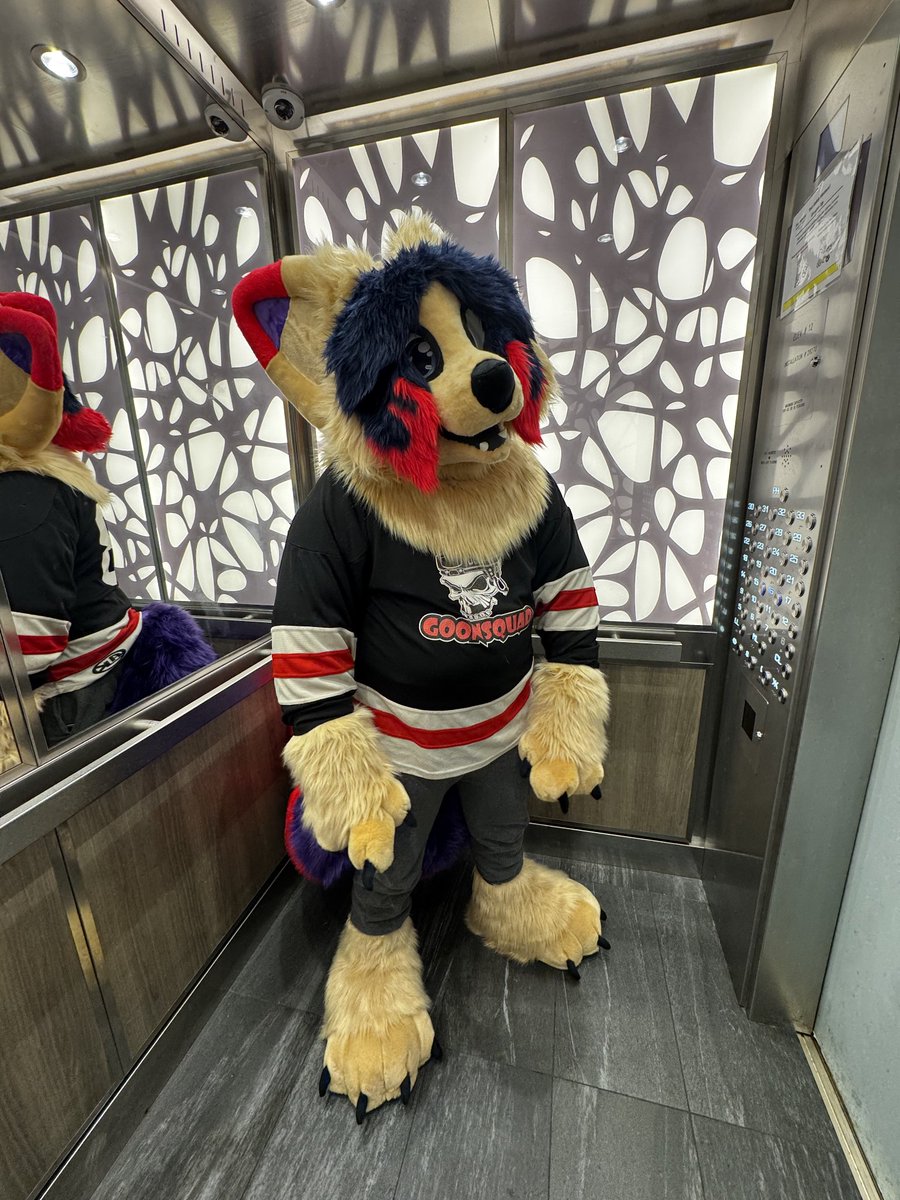 Lord Tom Fluffytail ☭⃠ ࿕⃠ tweet media