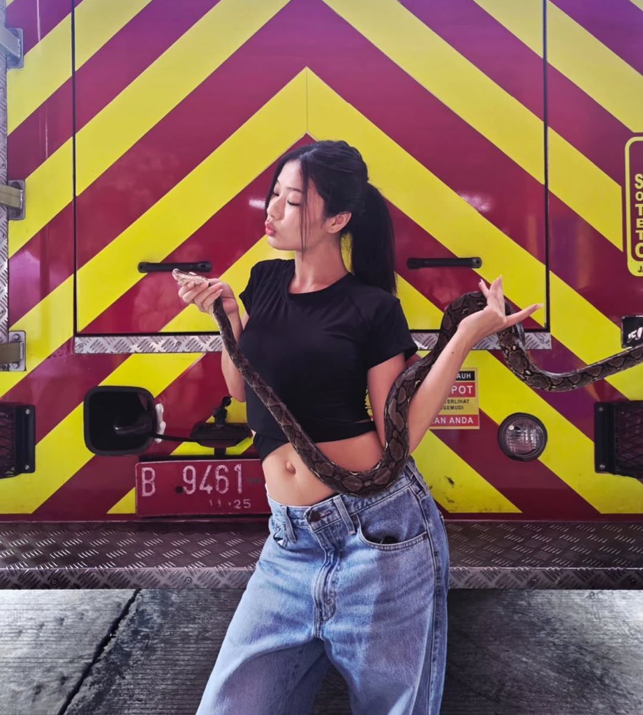 christy ⭑ tweet media