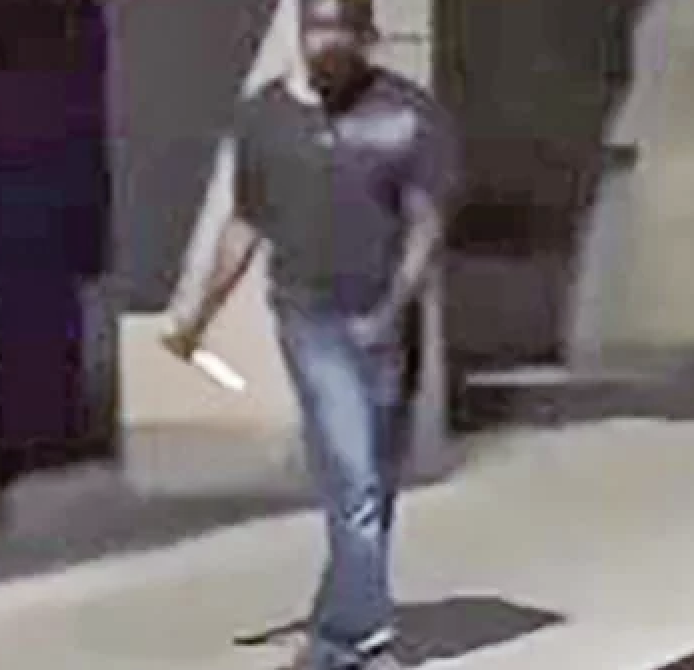 Laurent Obertone tweet media