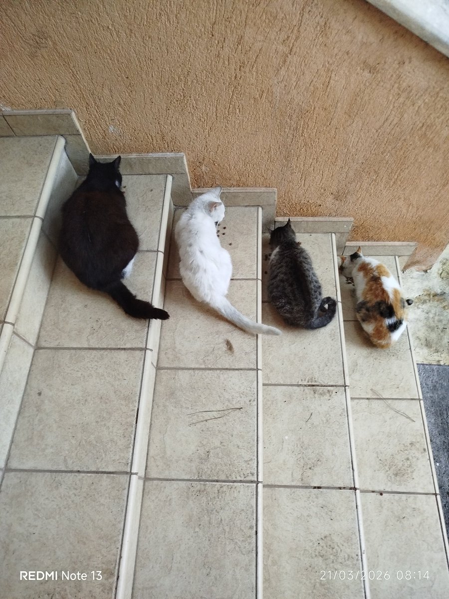 Γιώργος 🇬🇷 tweet media