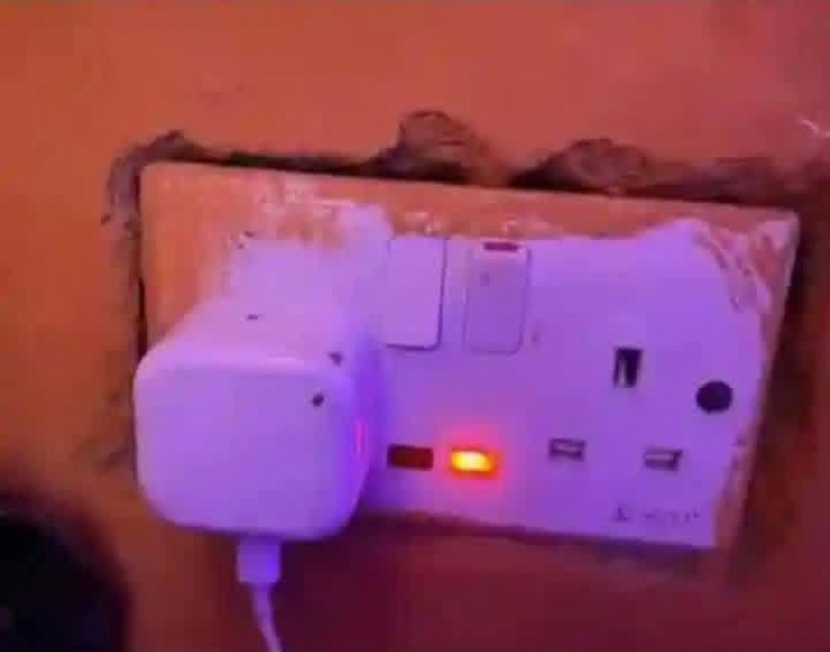 Sonia💞 tweet media