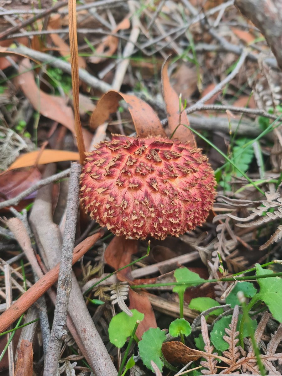 heterosexual thought leader 🌶🇵🇸 tweet media