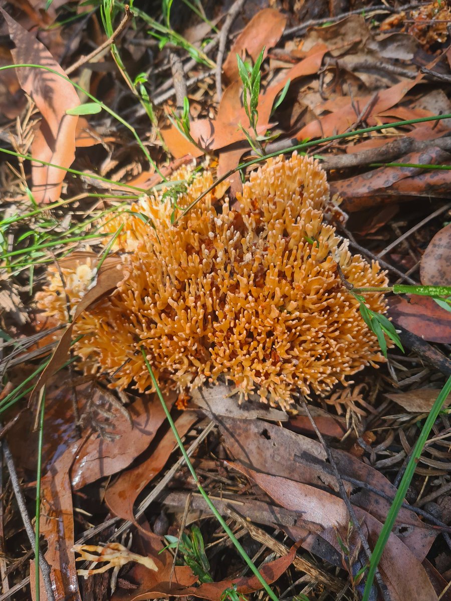 heterosexual thought leader 🌶🇵🇸 tweet media