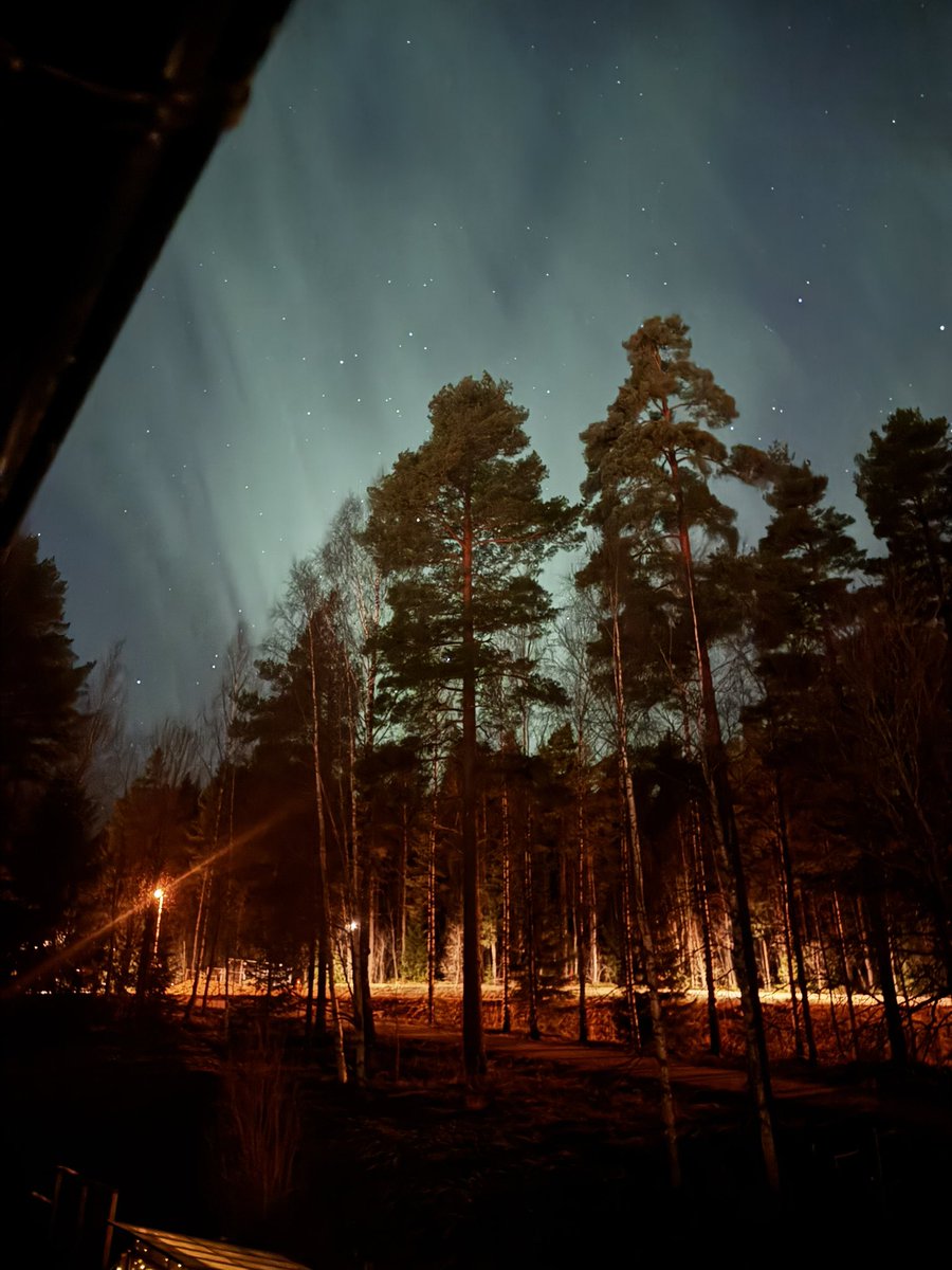 Robin Söderlund tweet media