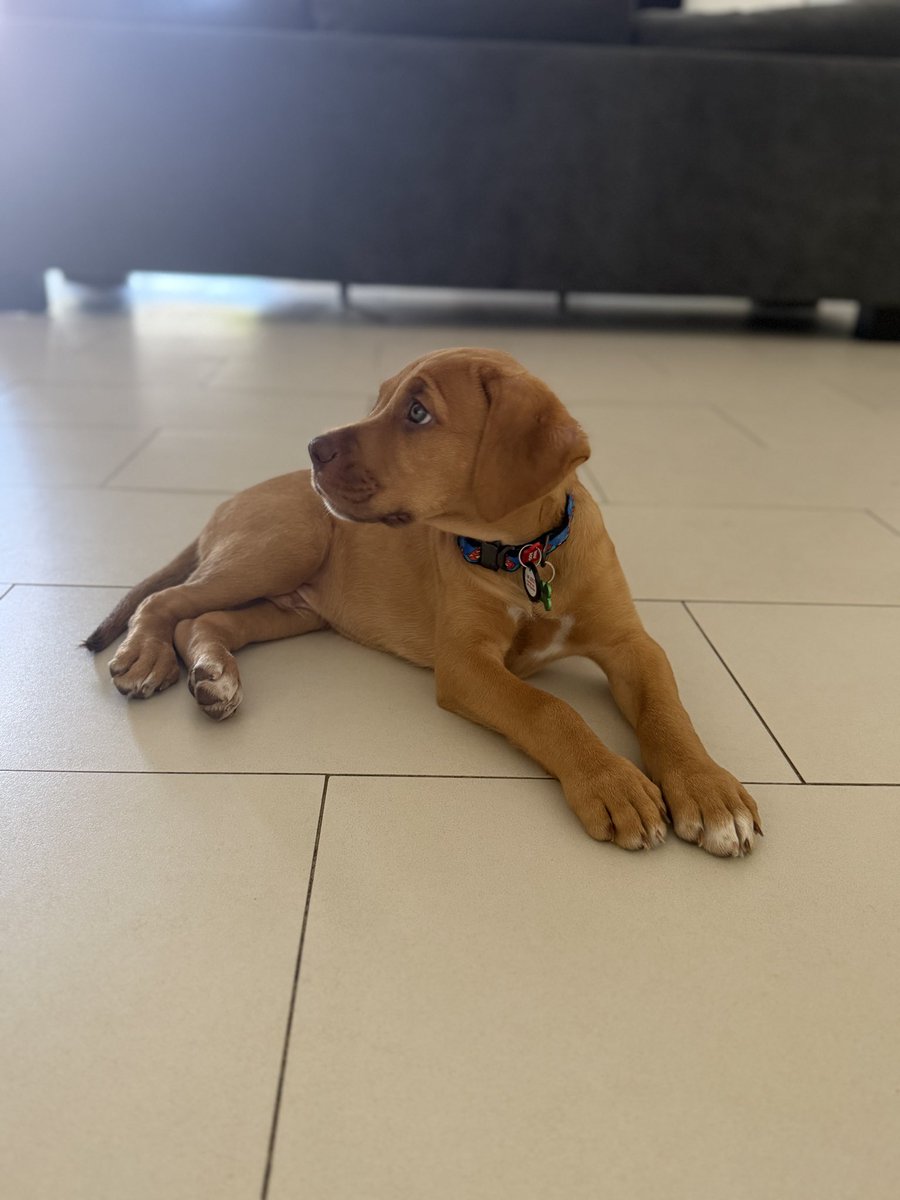 Garbage Human tweet media