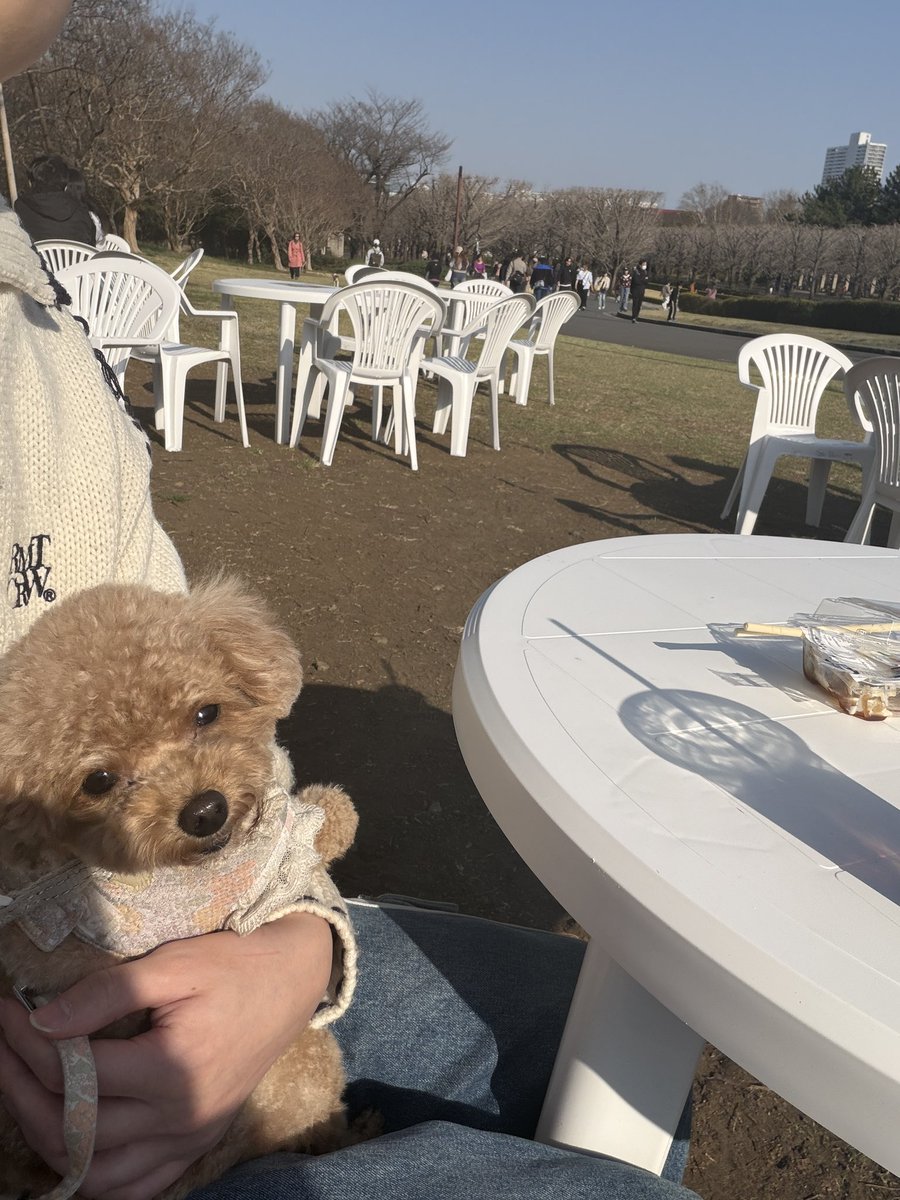 Masaki Go tweet media