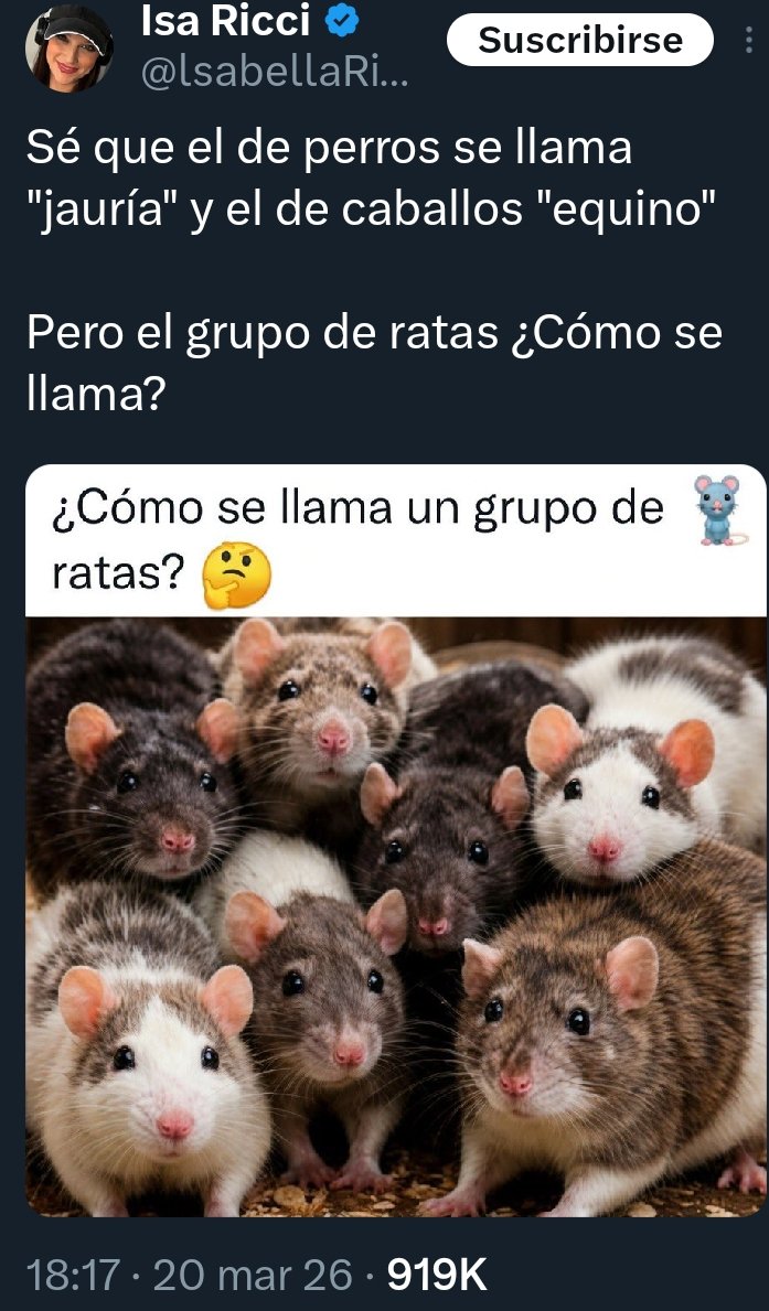 Dr.Grijander. Fistroterapeuta.⚡⚡⚡ tweet media