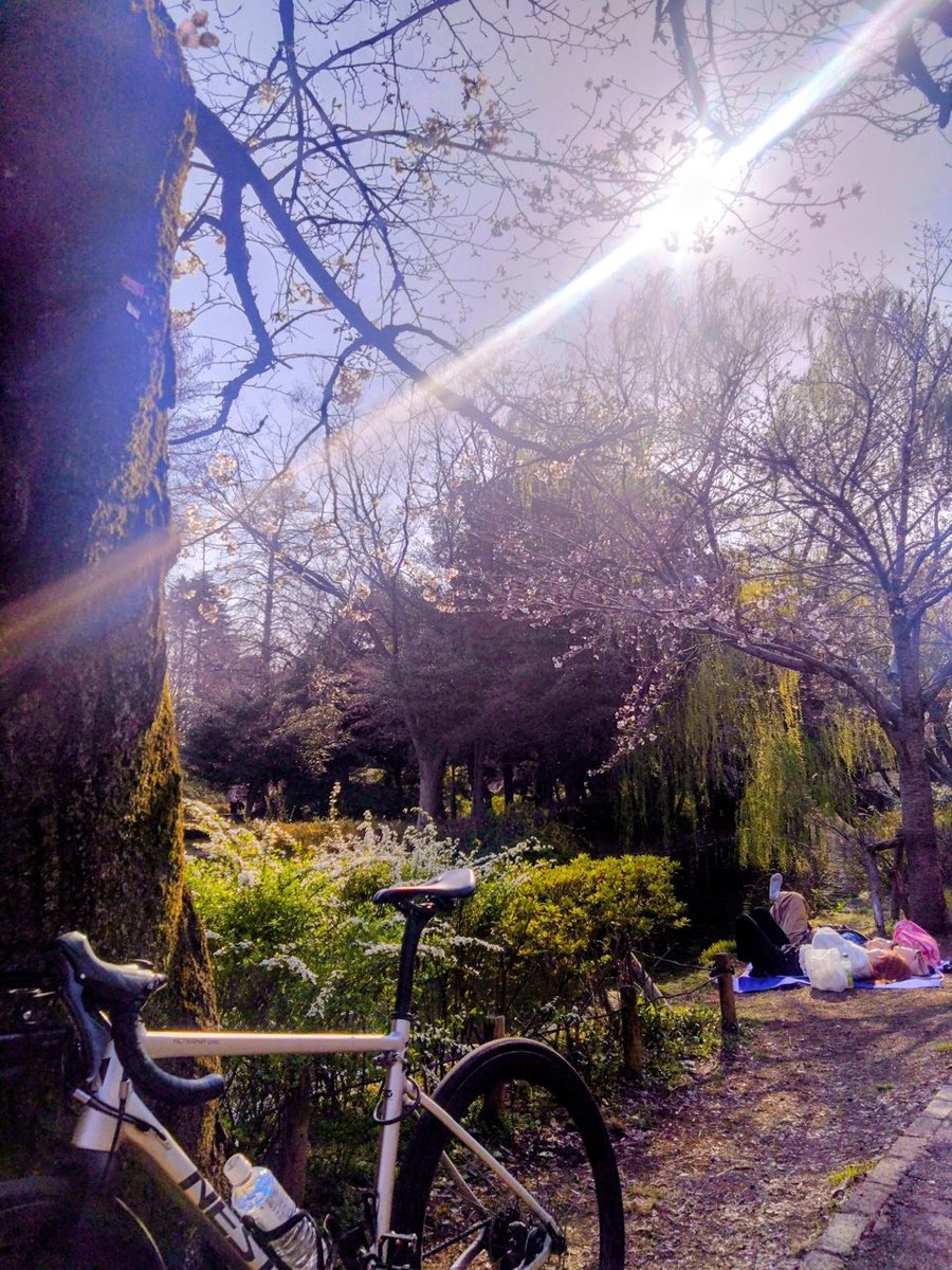 鳴門の青髪さん tweet media