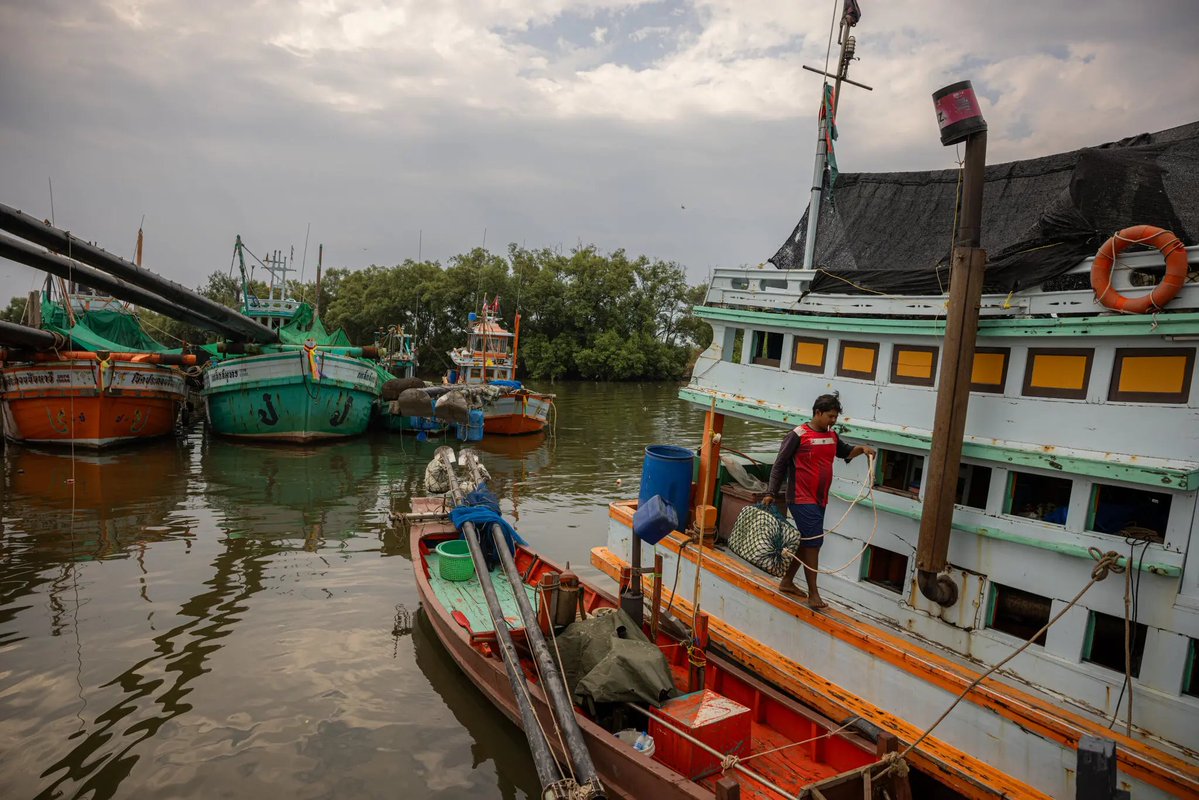 Andreas Harsono tweet media