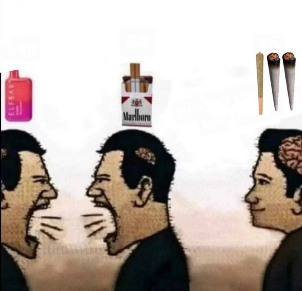 Stoner Barbie tweet media