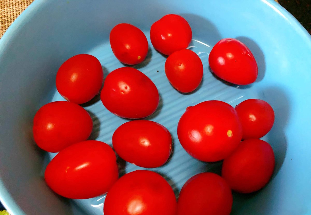 zoe mcclune tweet media