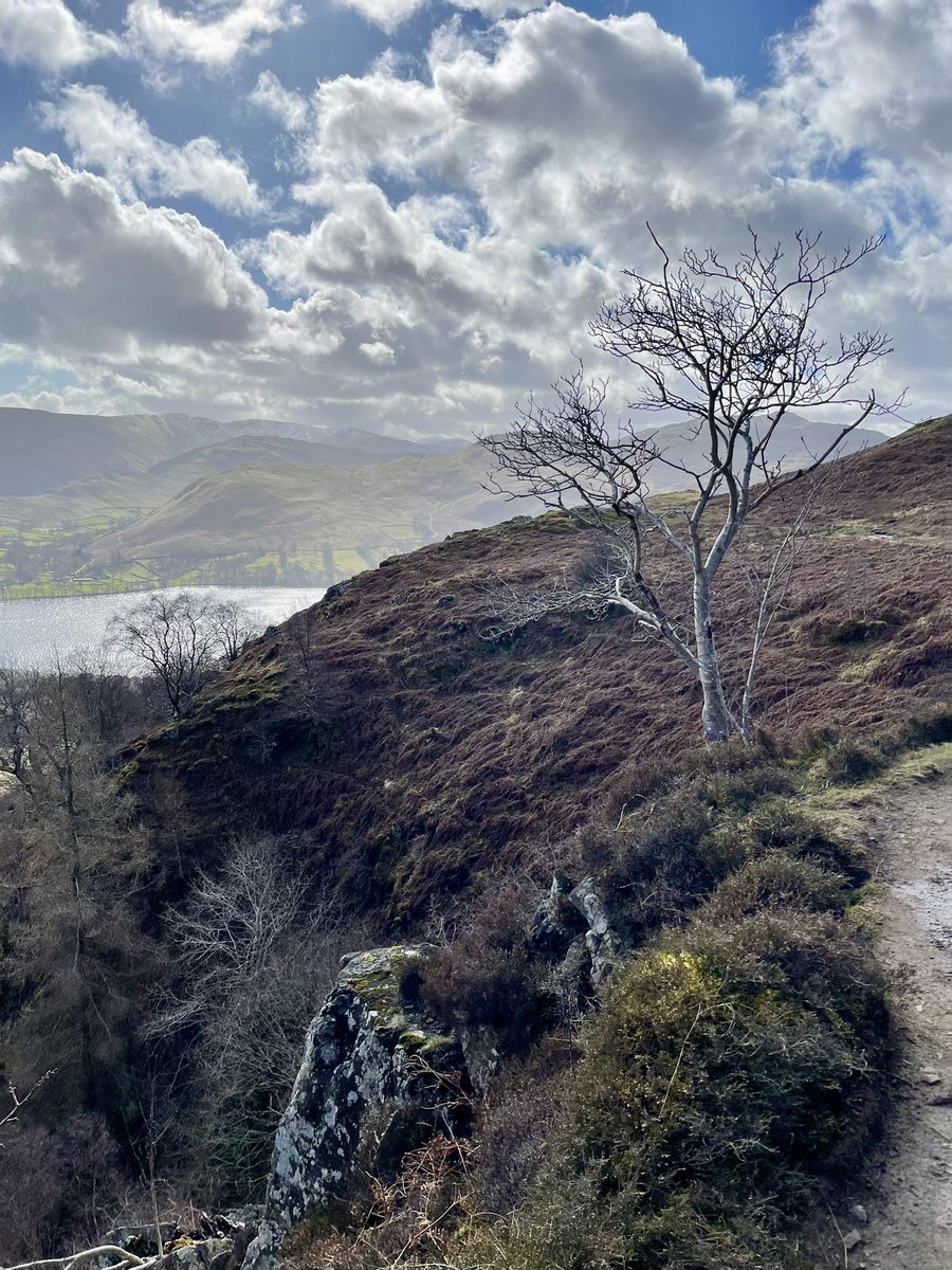Lake District Fells 🇬🇧 tweet media
