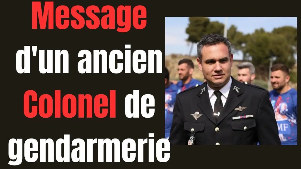 sergio-dde🐭🐞 tweet media