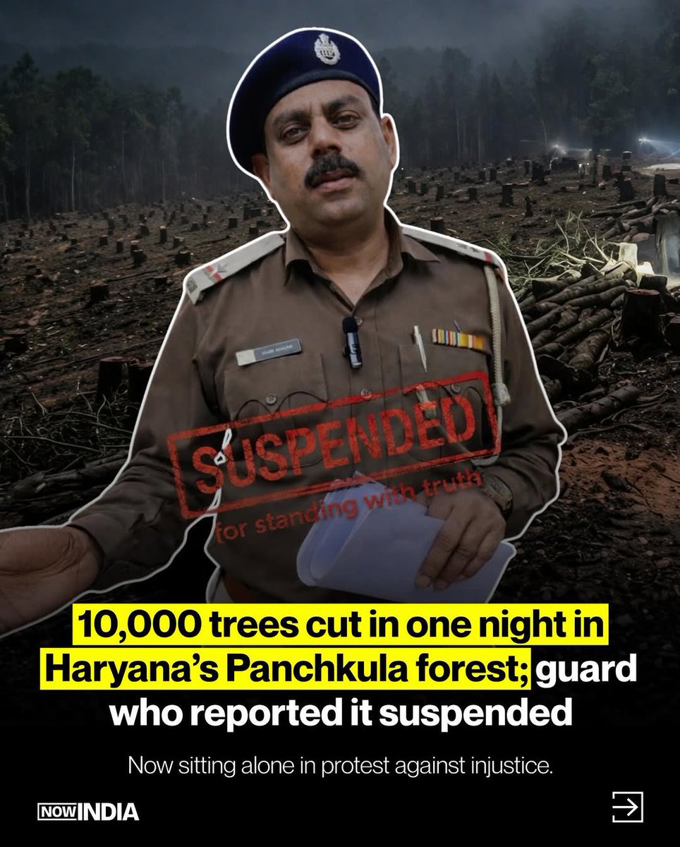 Believer tweet media