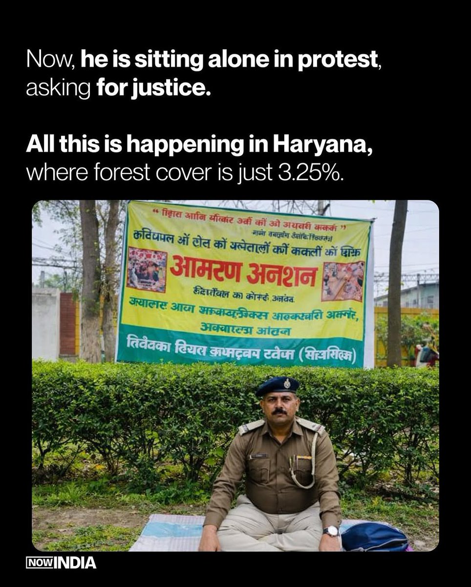 Believer tweet media