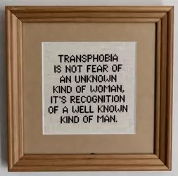 Wizard of Optics tweet media